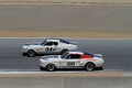3A-1965-70 Shelby Mustang